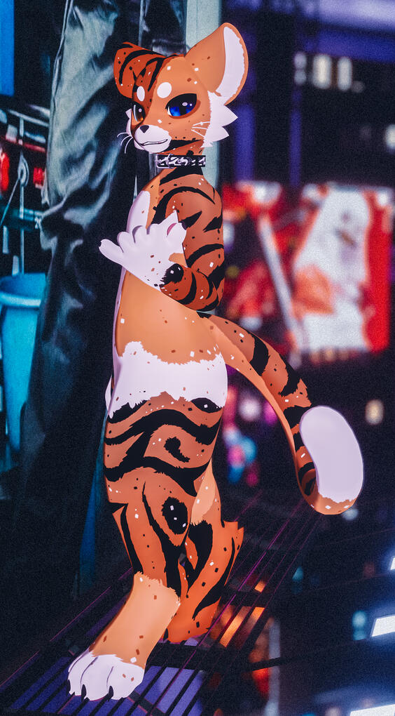 Tiger Mayu